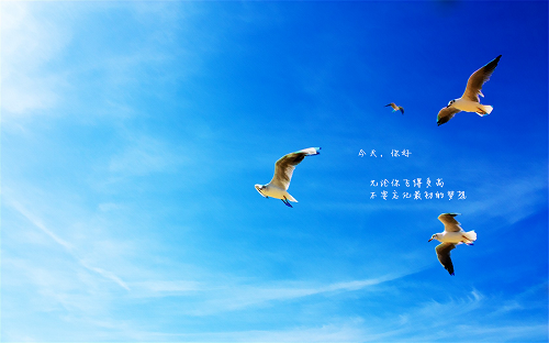 學習嵌入式
