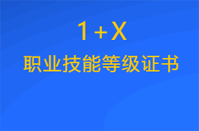 1+X丨各省已開啟2023年度新一輪“1+X職業技能等級證書”試點申報工作